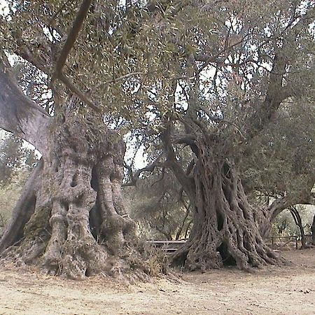 Villacidro B&B Antoclo Di Concas Angela Margherita מראה חיצוני תמונה